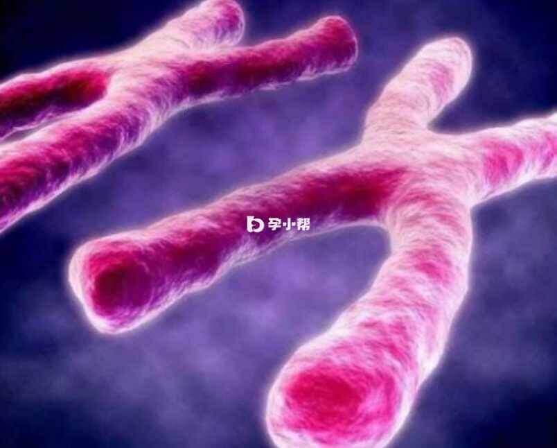 11号染色体可能包含的基因