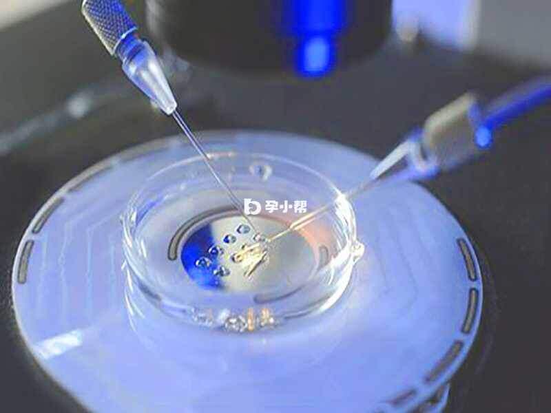 试管婴儿移植并不是所有胚胎都能够进行移植的