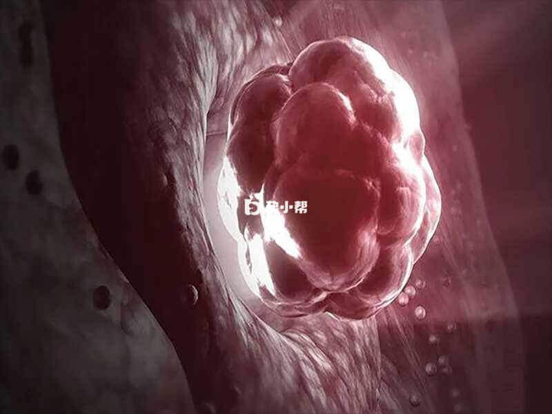 试管移植后胚胎会在子宫腔内游走