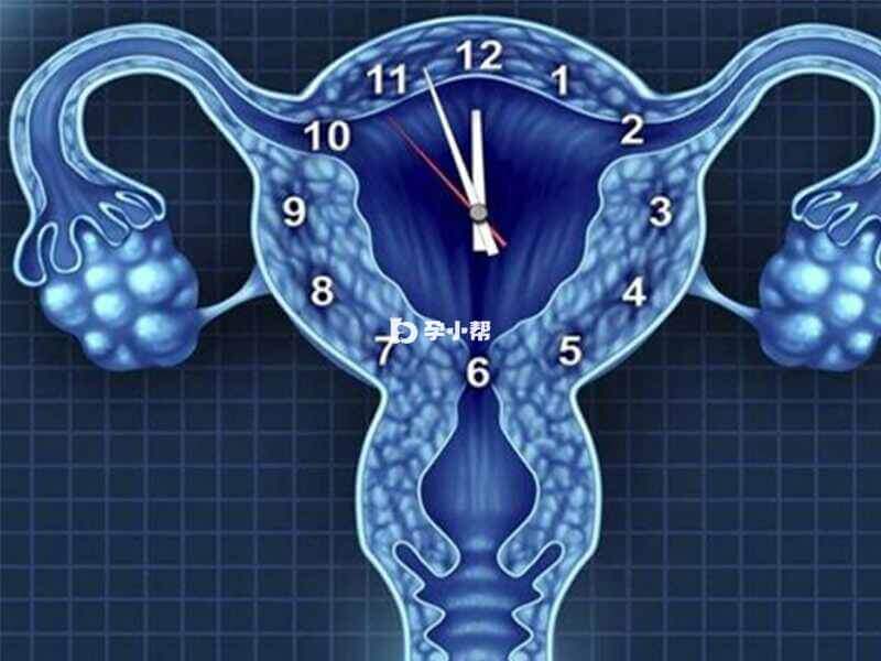 卵巢早衰会引起女性排卵障碍