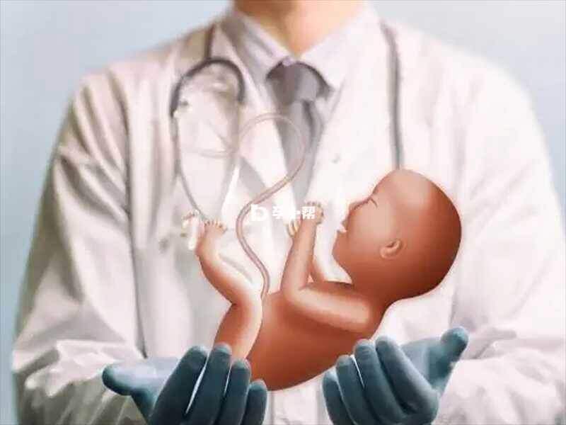 胚胎移植是试管周期中的一环