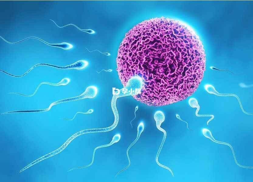 二代试管对精子要求不高对卵子要求会更高