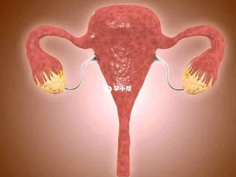 达菲林能间接抑制女性卵巢功能
