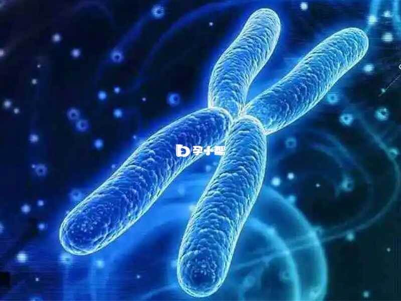 染色体异常多具有遗传性