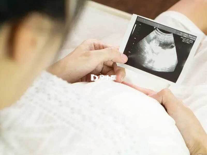 超声检查能诊断胎儿停育