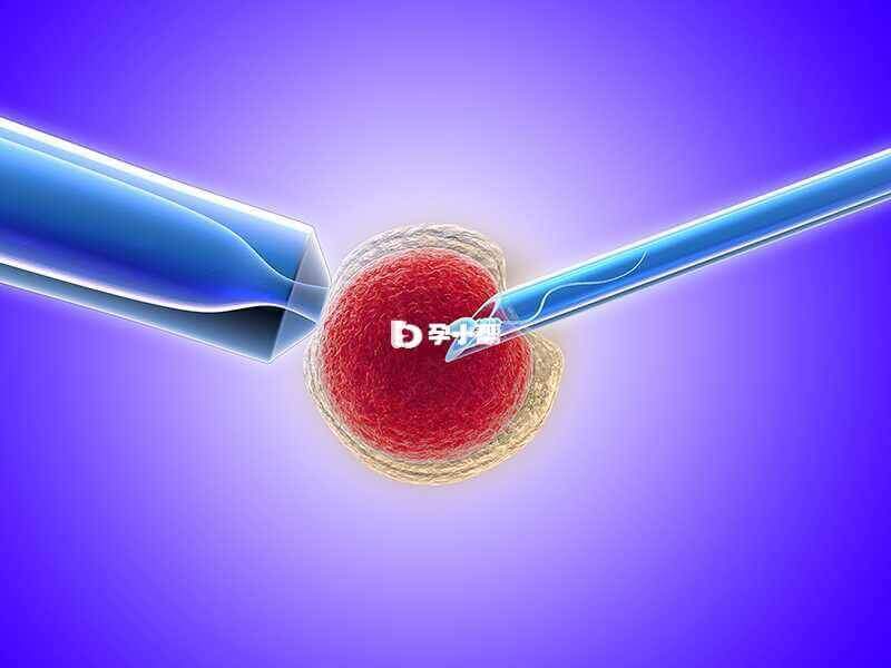 胚胎移植是试管移植的环节之一