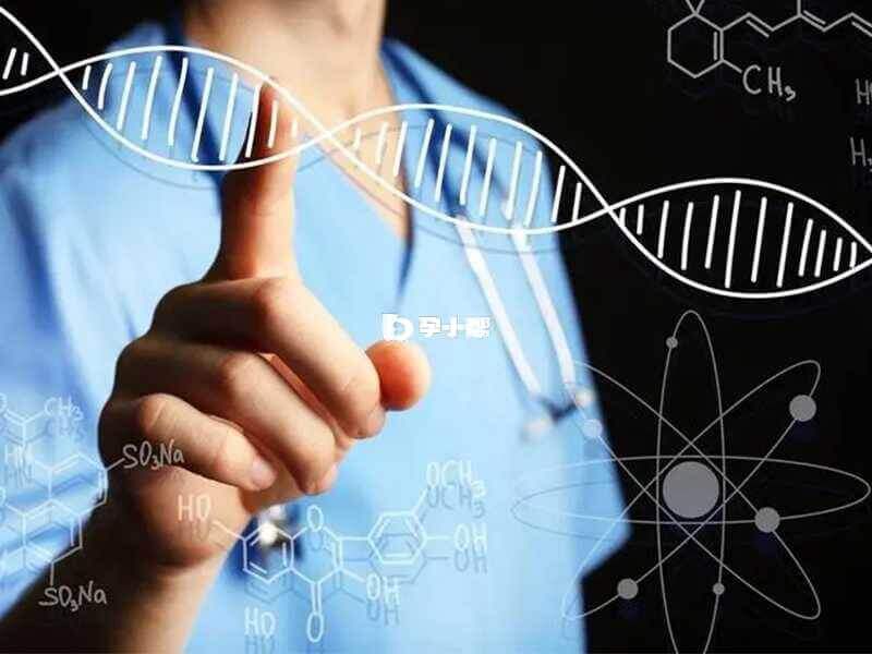 无创DNA是排畸检查