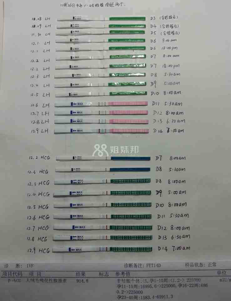 第3-14天排卵测试结果图