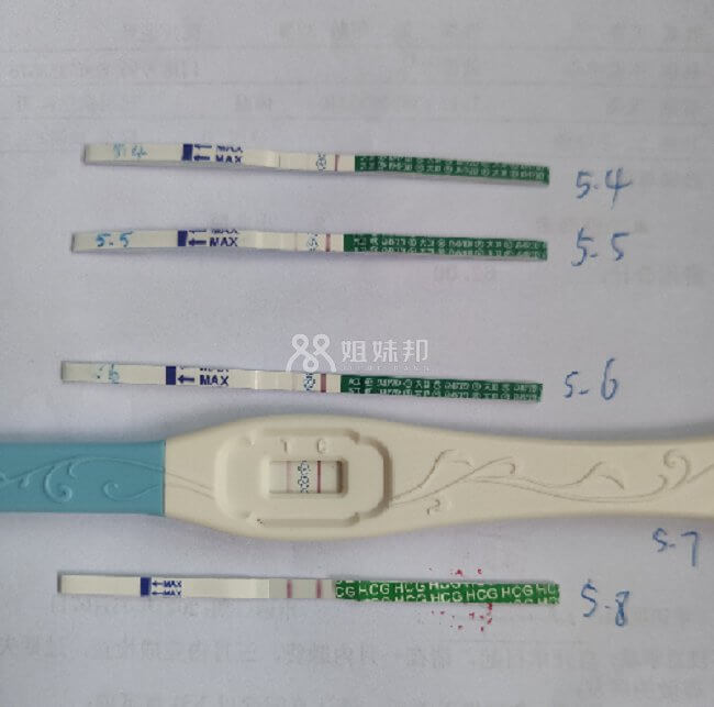 验孕棒验孕显示怀孕