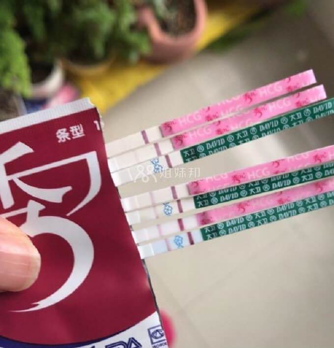 秀儿大卫早孕试纸