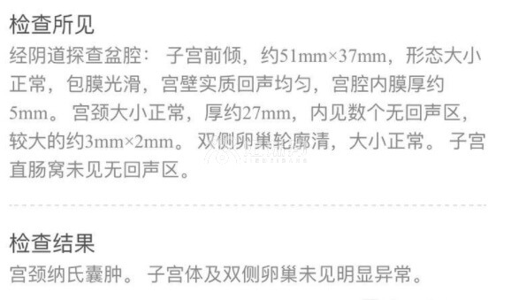 B超检查报告