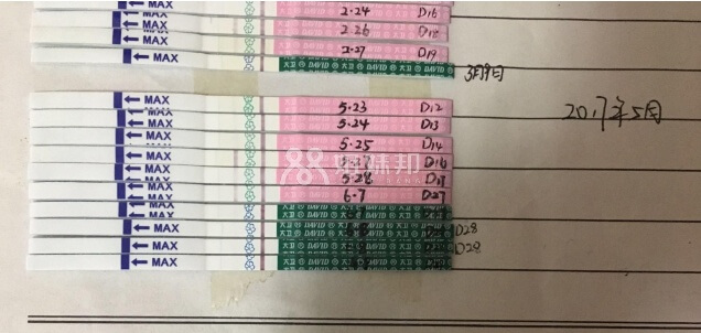 五月份排卵监测图