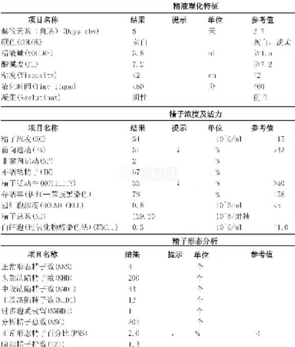 精子碎片率检查