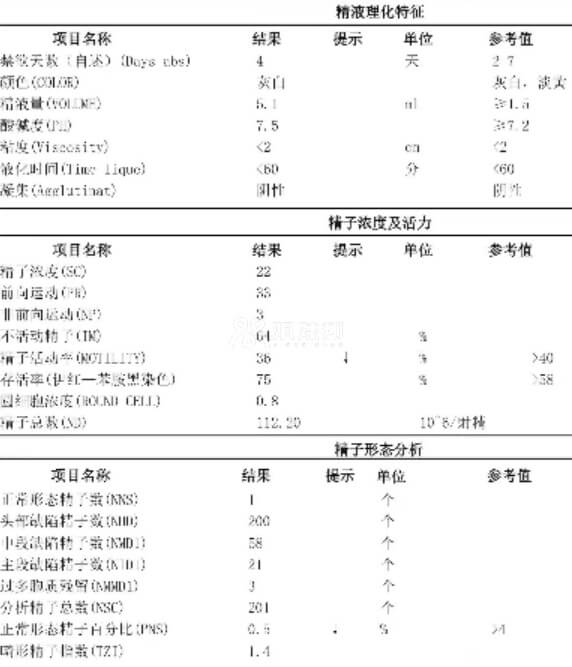 精液常规报告单