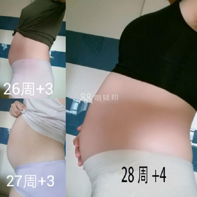 从26周开始的孕肚变化情况
