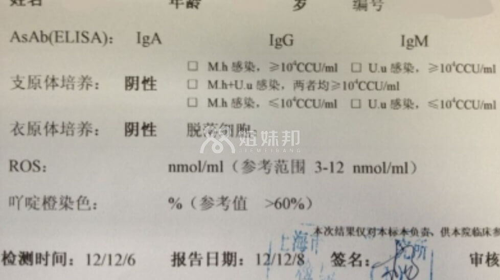 支原体检查报告