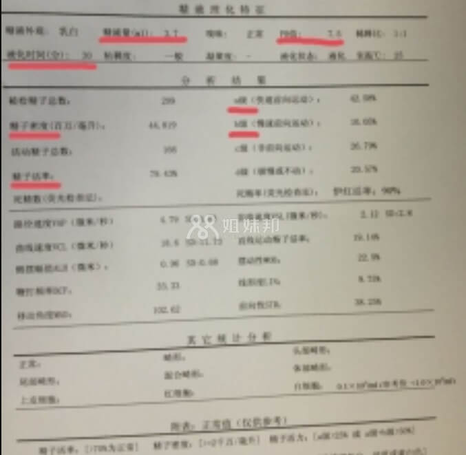 精液分析报告