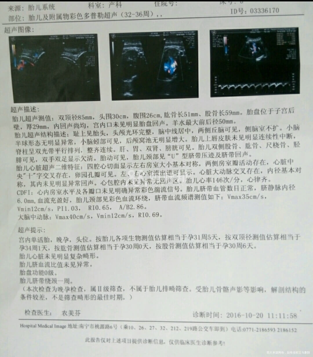 报告