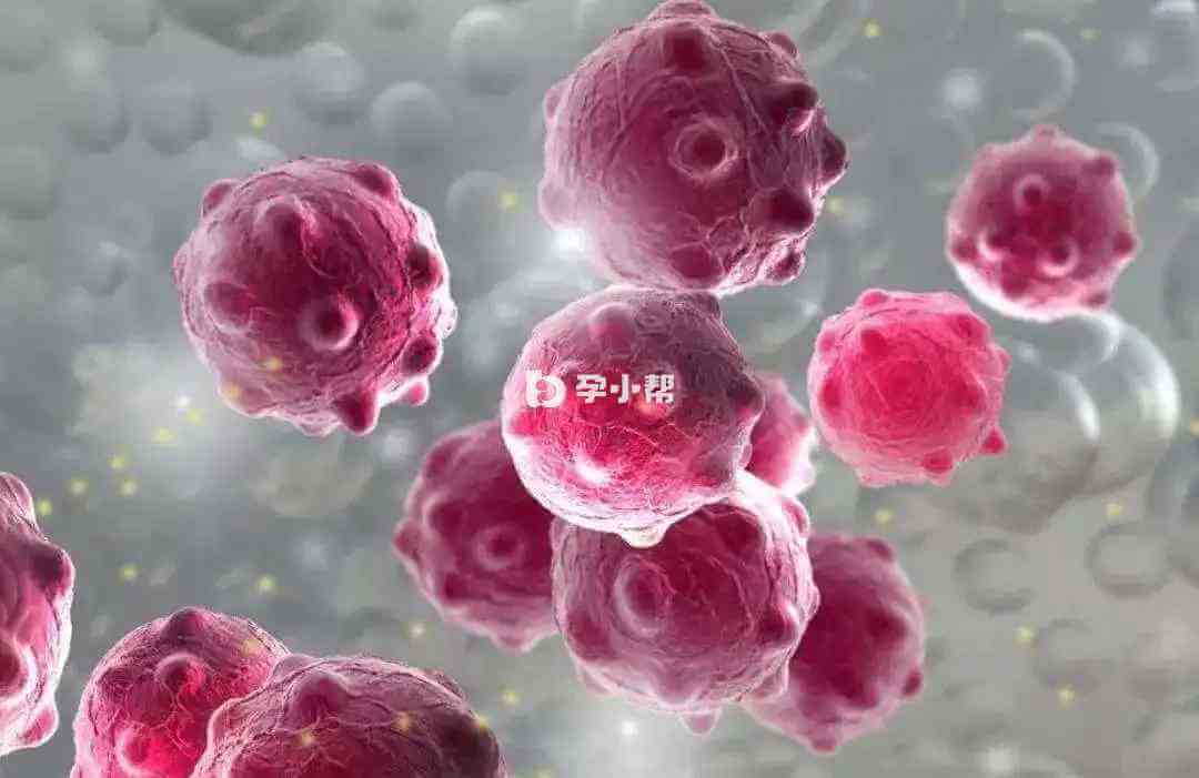丝状疣主要是由HPV引起的