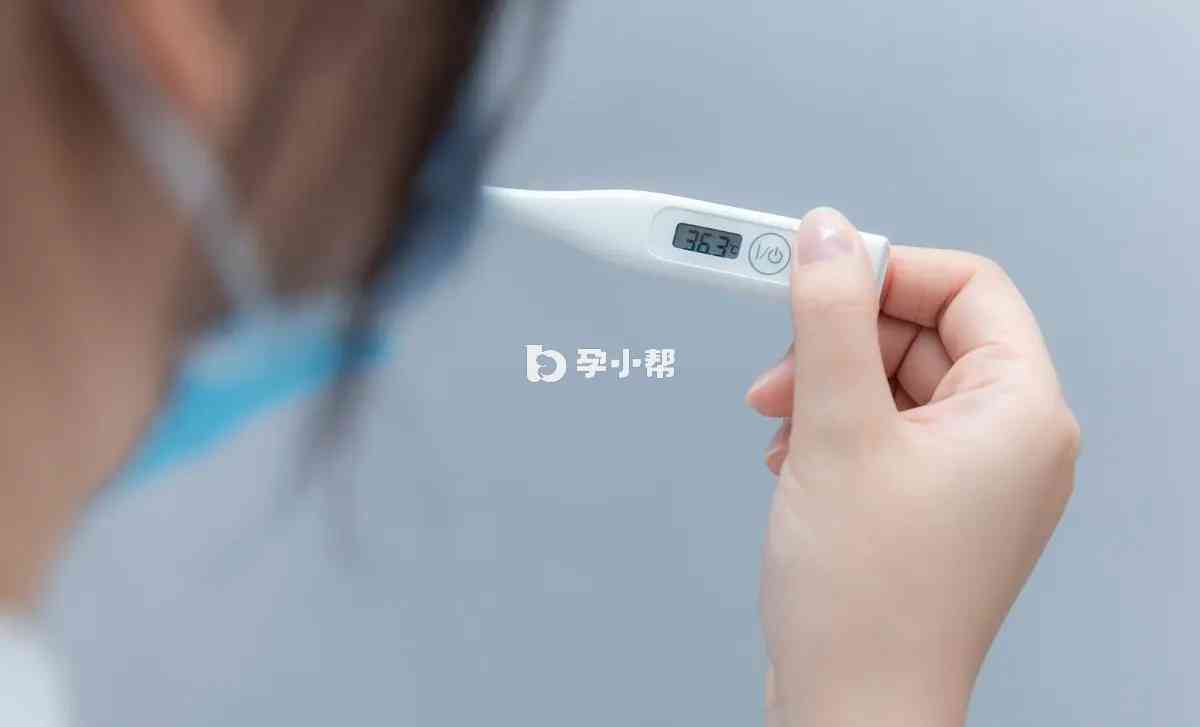 受孕后基础体温会升高