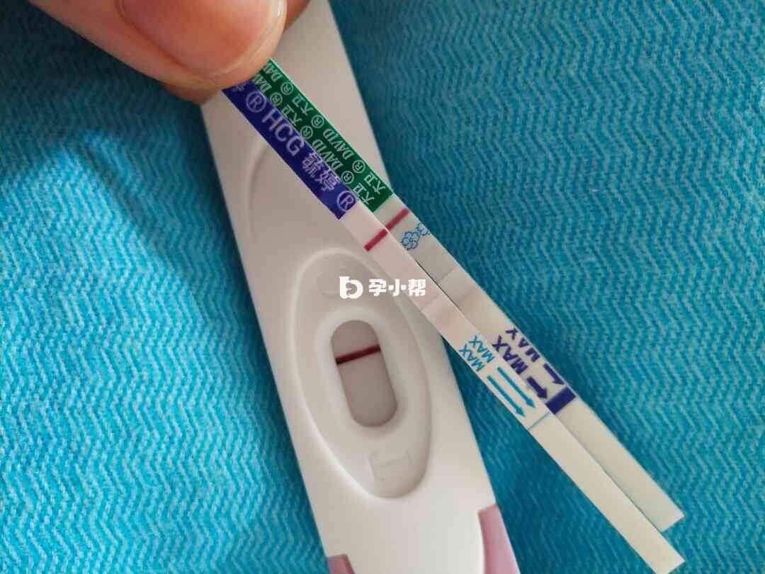 毓婷早孕试纸并不是太灵敏