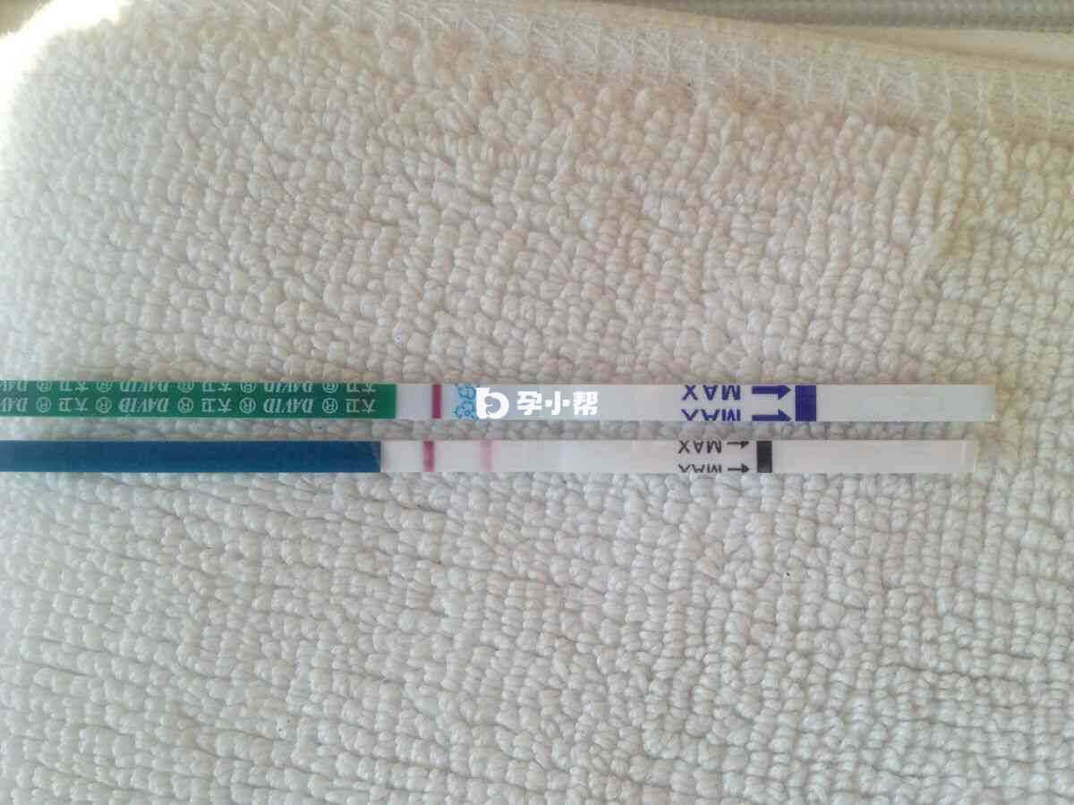 早孕试纸是检验怀孕的工具