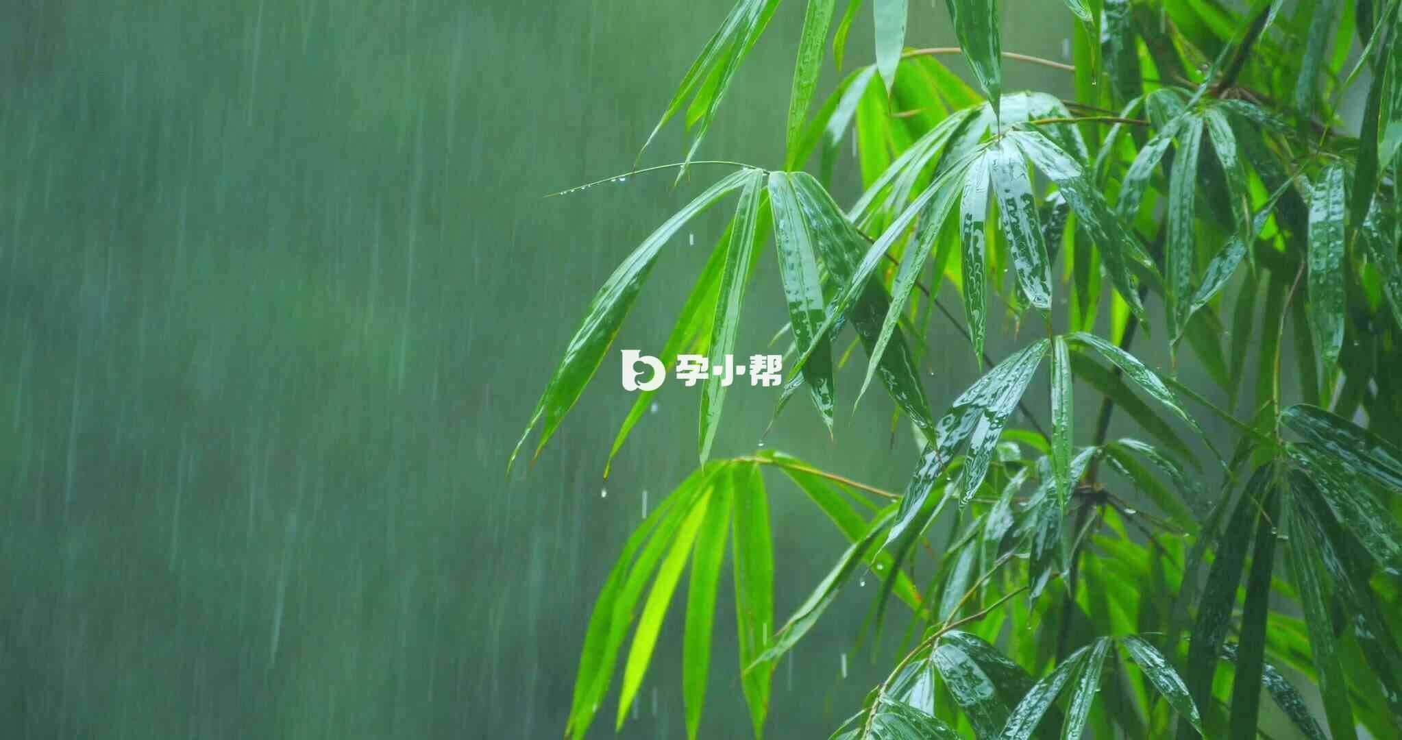 梦中看见下雨是吉兆