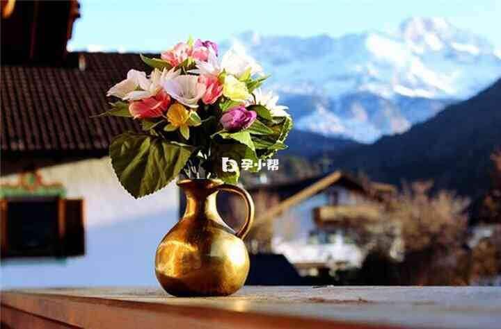 梦见假花是吉兆