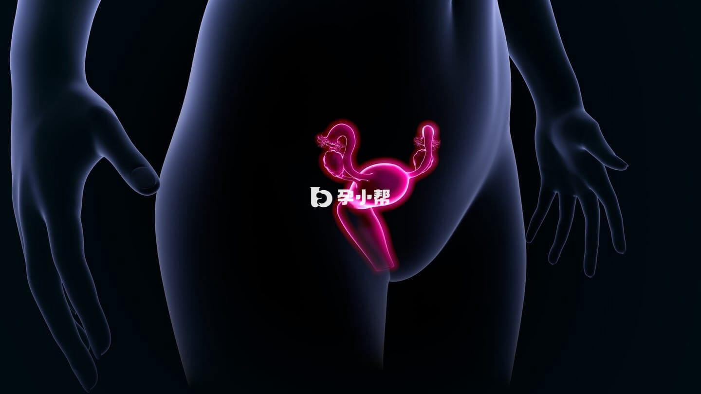 卵巢功能随着年龄的升高而下降