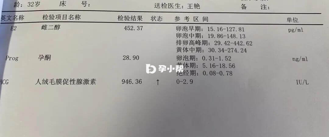 试管检查单