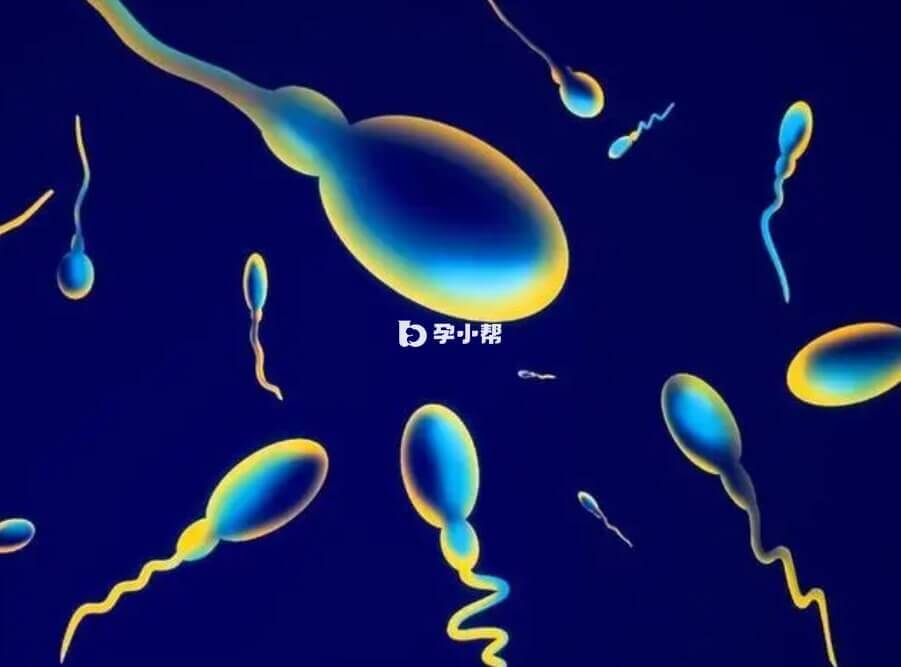 过关斩将最终修得正果