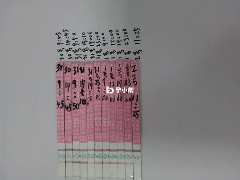 排卵试纸