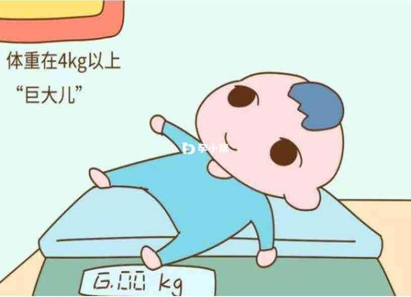 巨大儿极易出现智商问题
