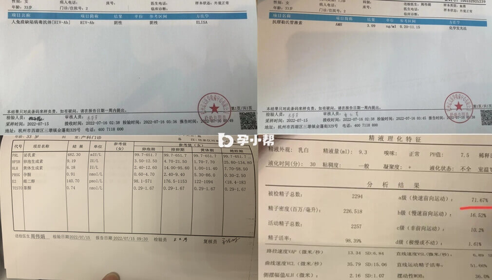 双方检查报告