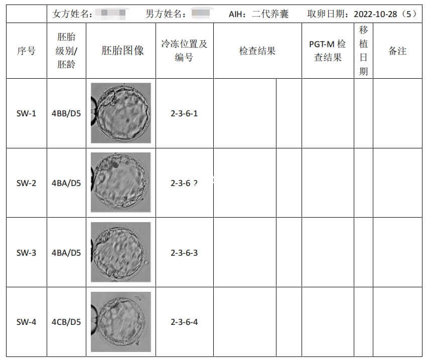 胚胎养成结果