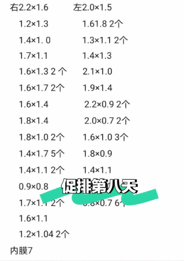 促排期间卵泡发育情况