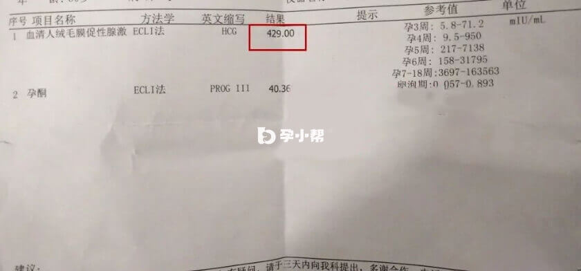 取卵5个成熟4个