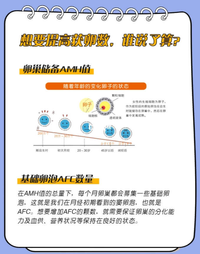 基础卵泡数量