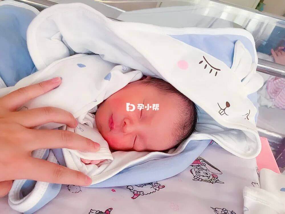 试管宝宝