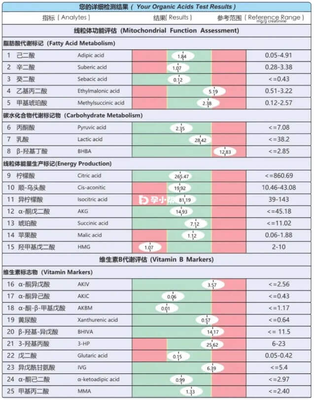 调整方案准备取卵