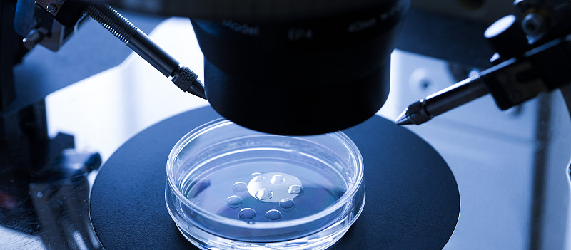 胚胎移植前可能需要进行基因筛查