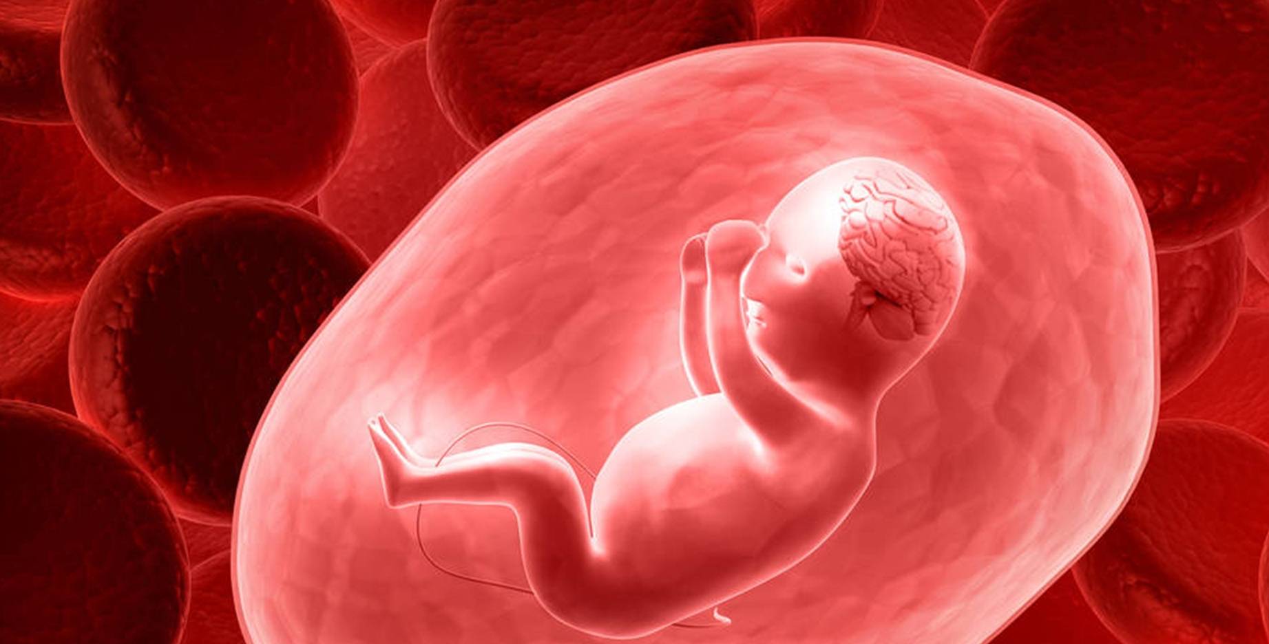 胚胎发育异常会引起孕初期出血
