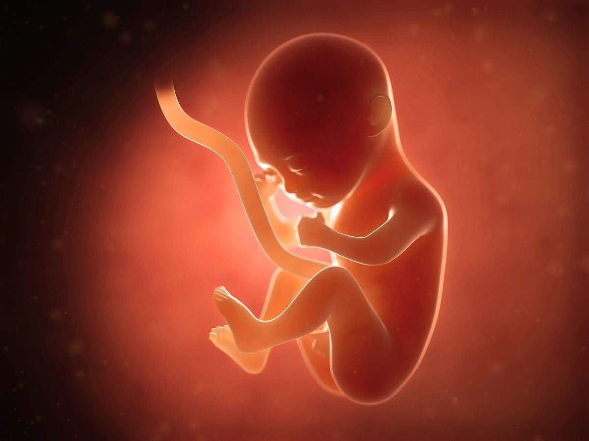 精子分离术会增加堕胎率