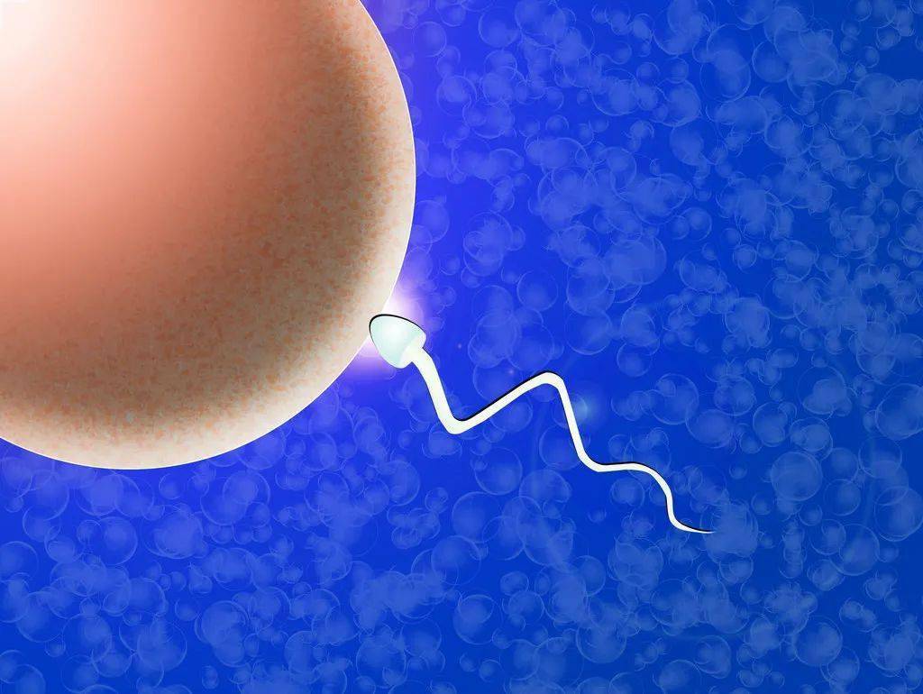精子分离术是一项生殖技术