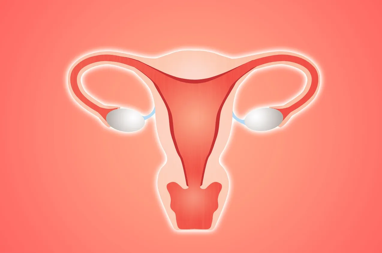 子宫内膜在14mm时也能怀孕成功