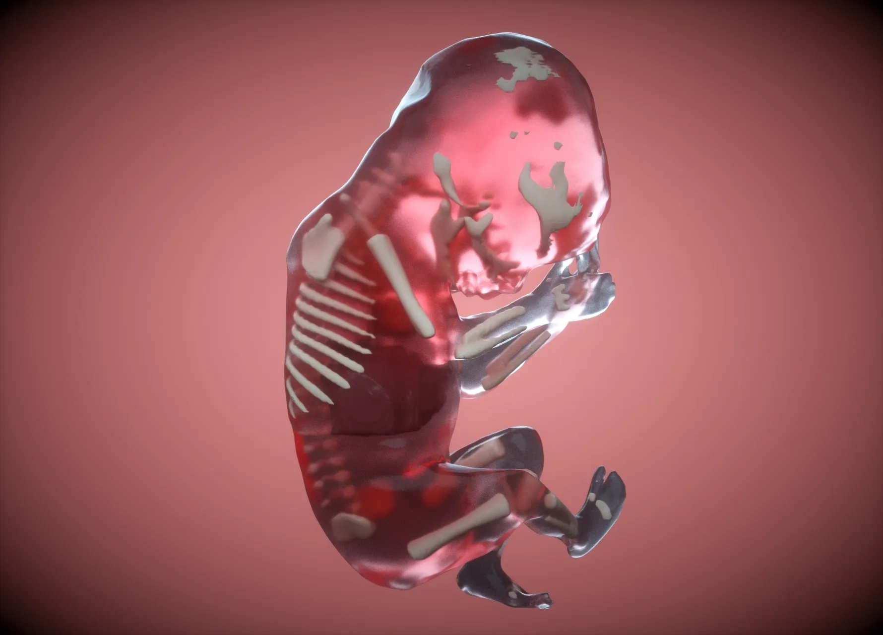 胚胎发育不良会导致胎停育