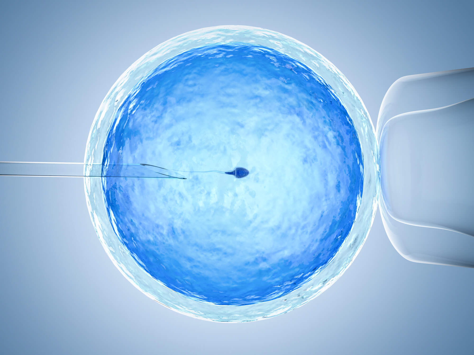 胚胎移植能发挥女性的生育能力