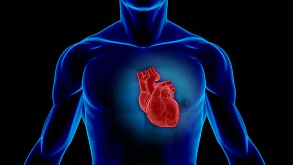 辅酶Q10能够改善心脏问题