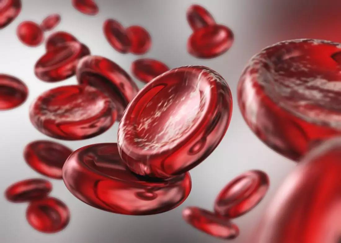 缺铁性贫血会导致血红蛋白偏低