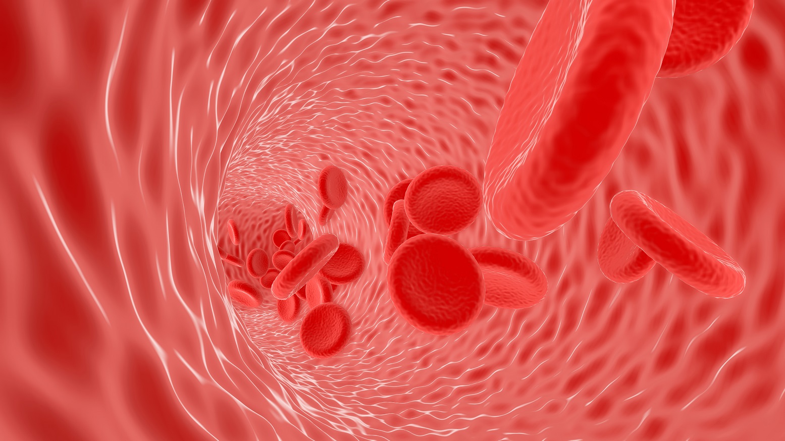 红细胞能够运送氧气